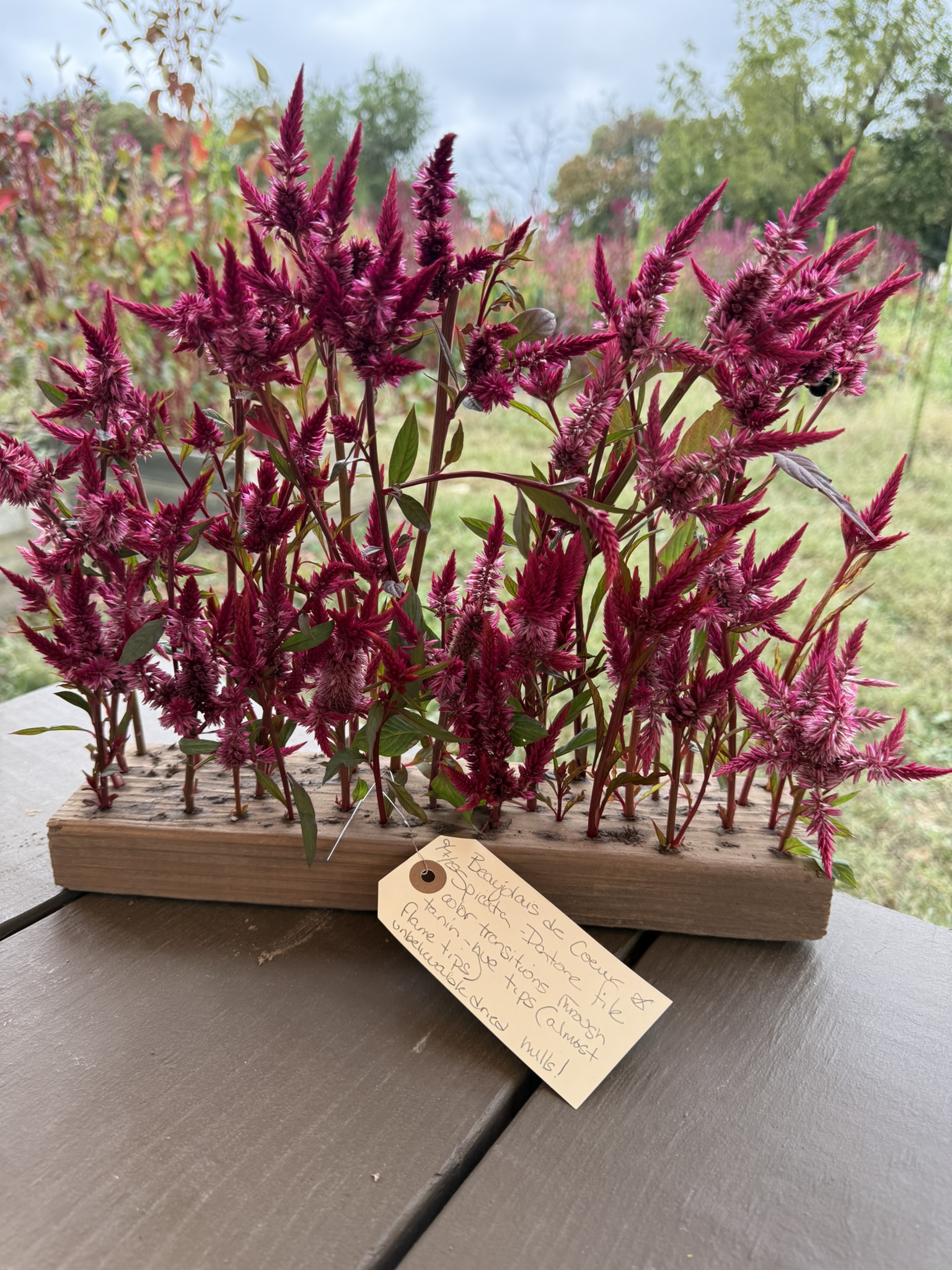 Beaujolais de Coeur
