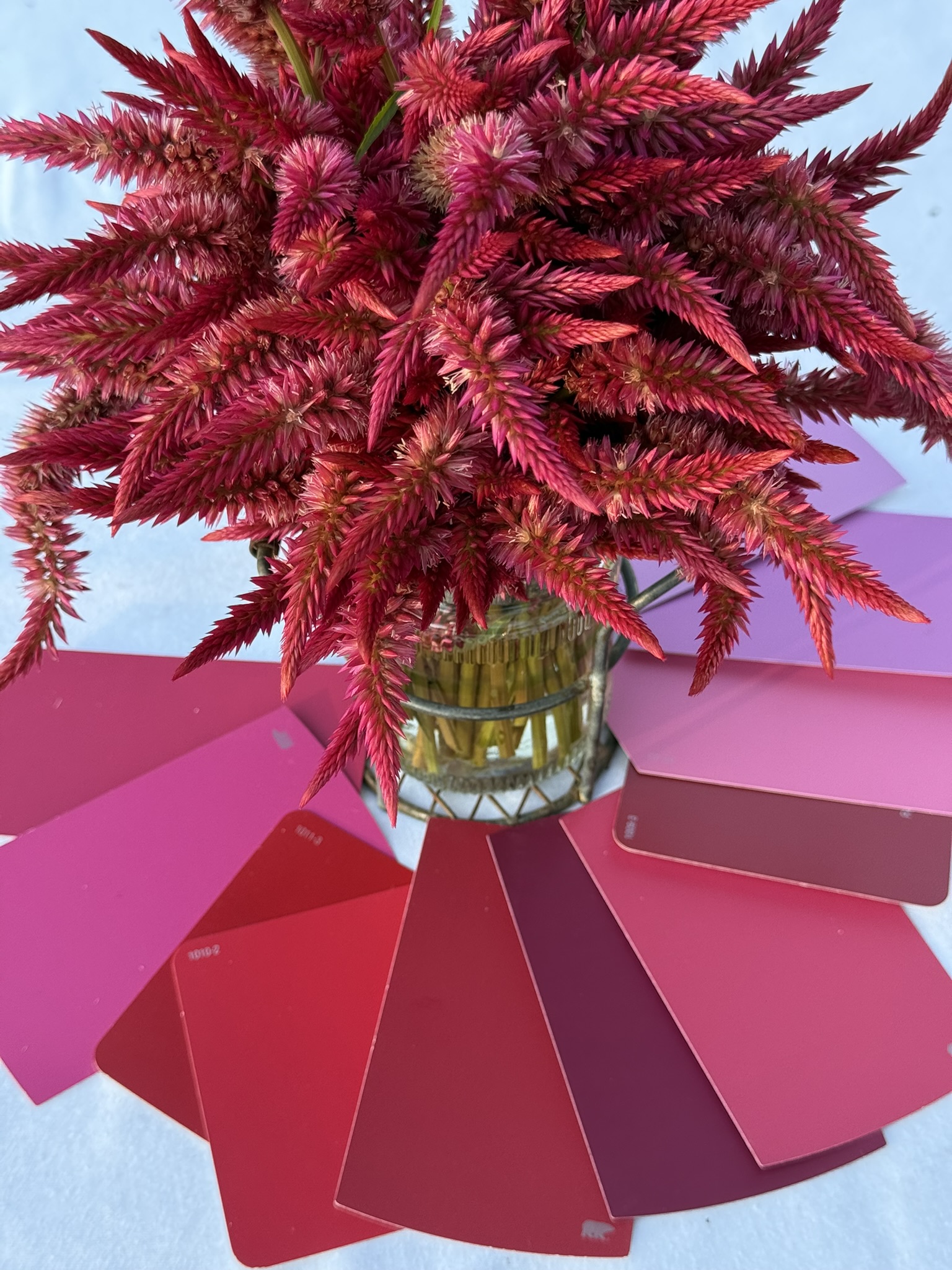 Electric Raspberry