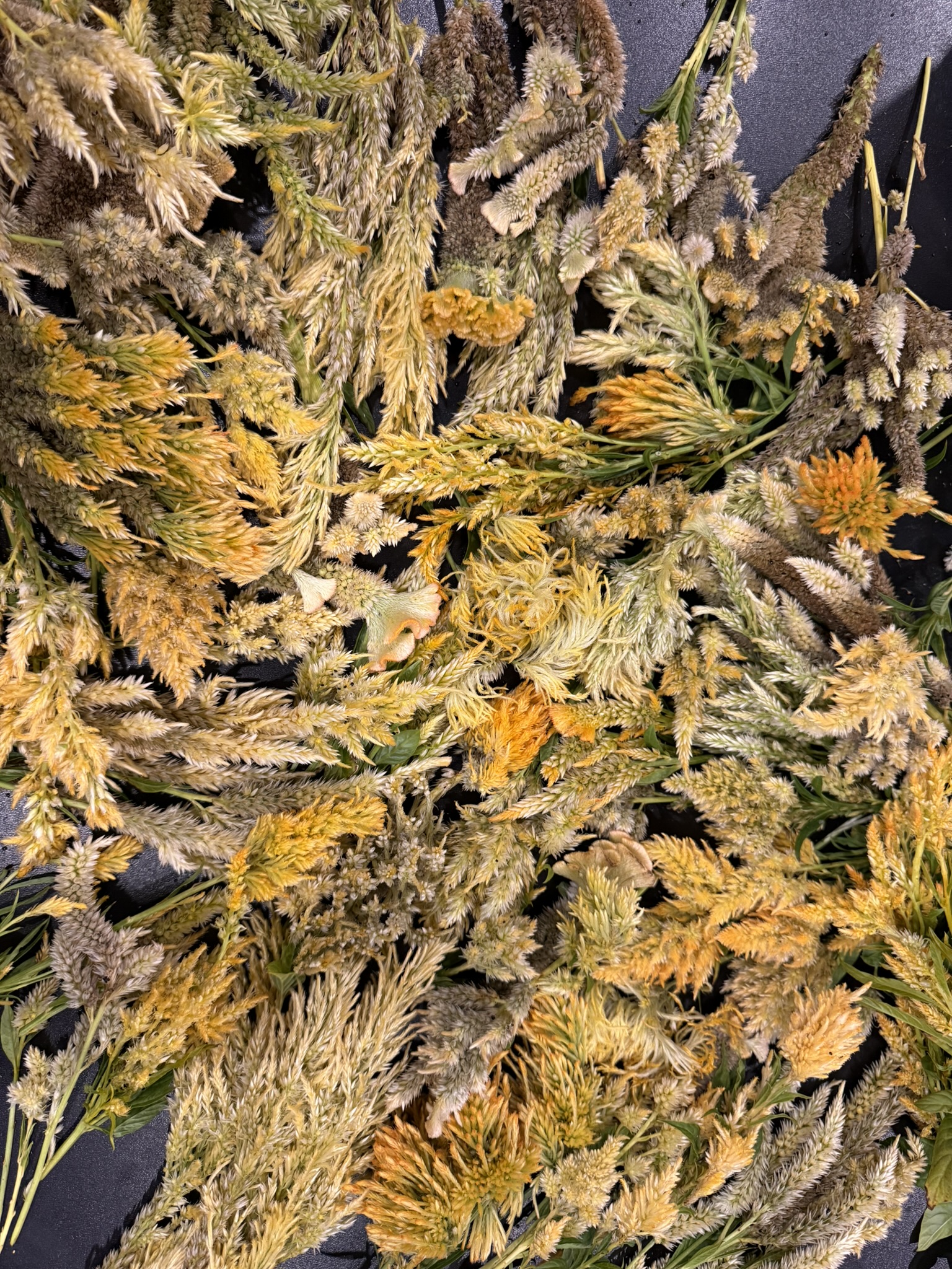 Full Spectrum Yellow Mix