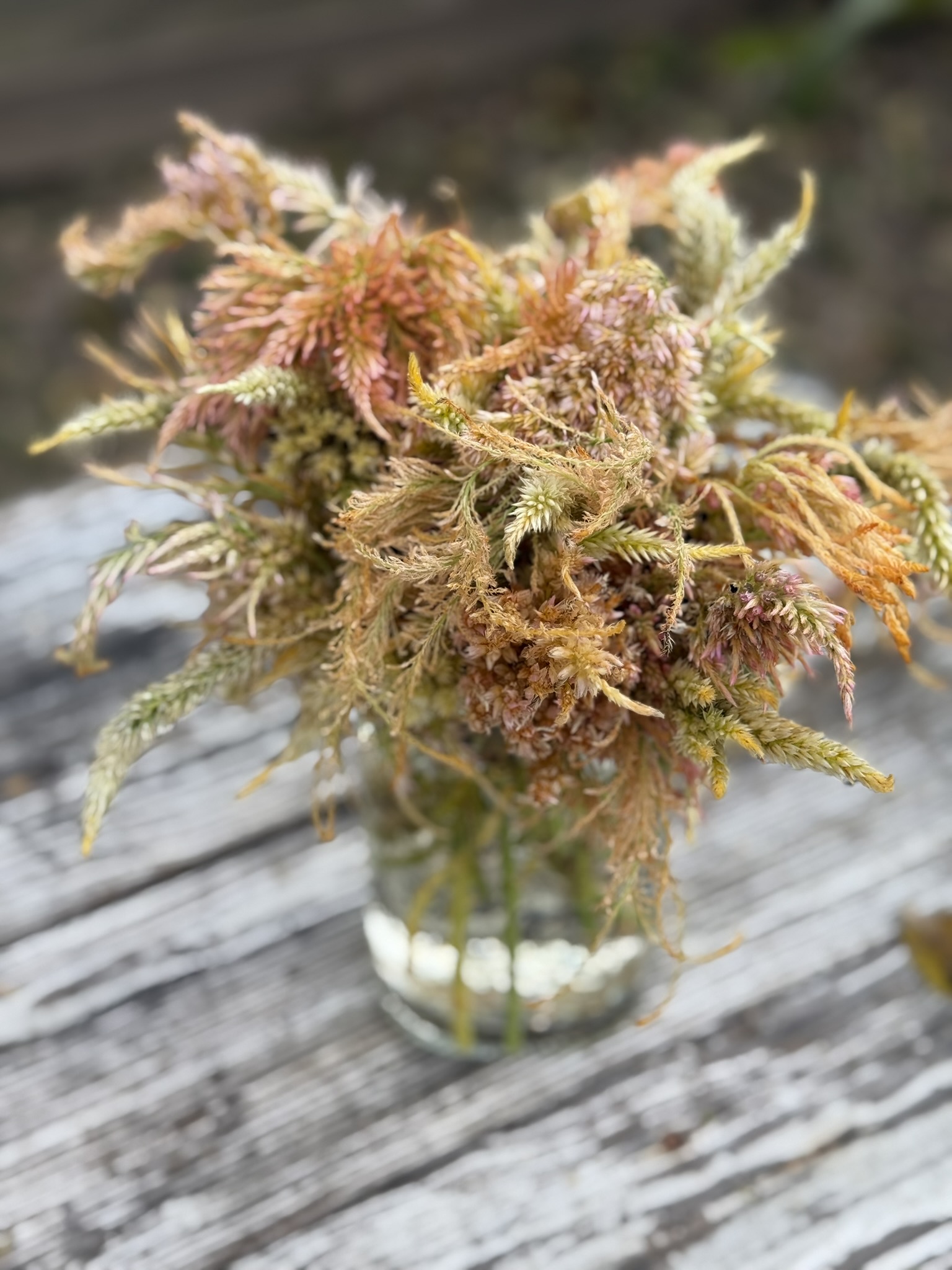 Jar Four — new gene study