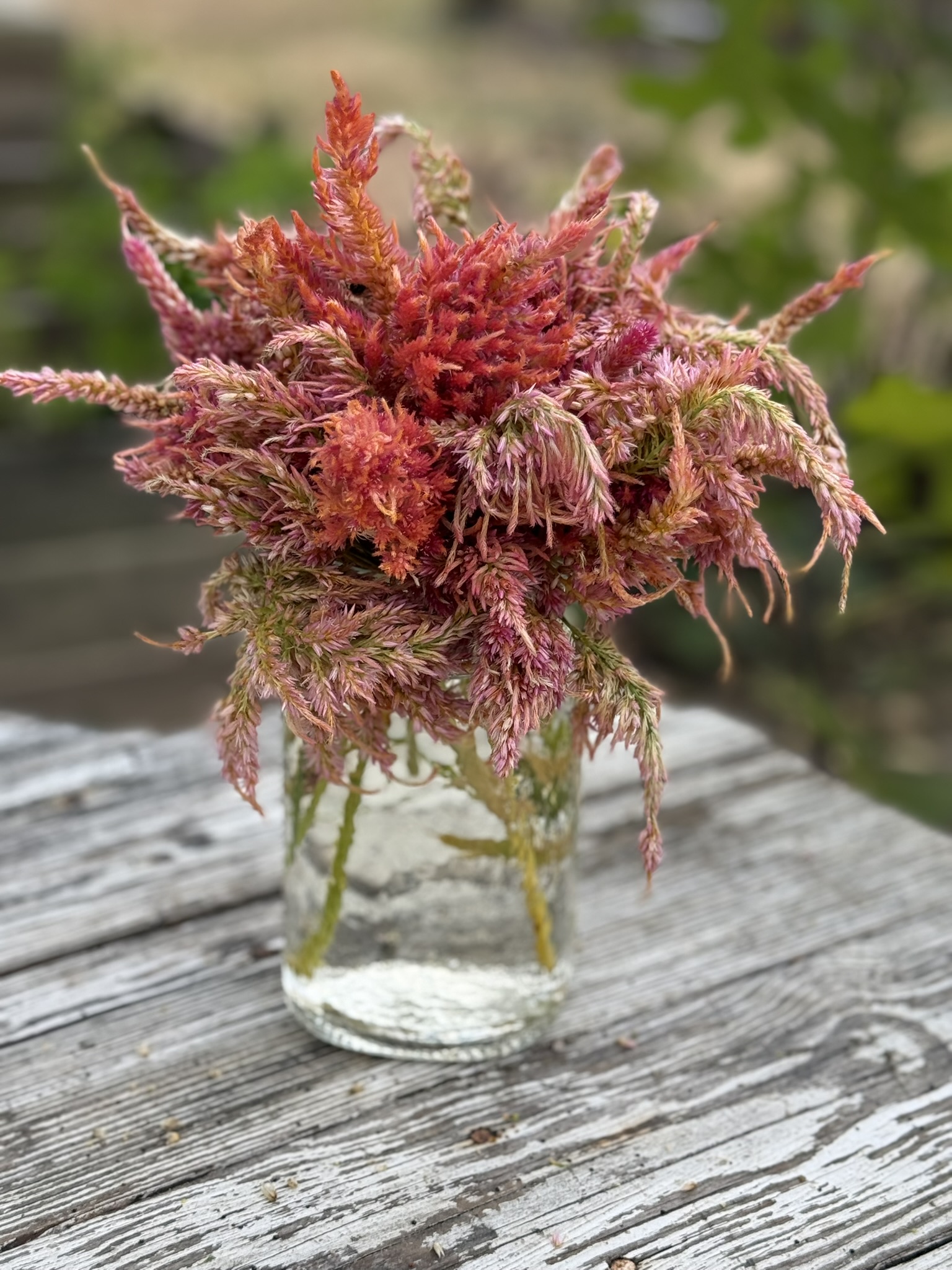 Jar Three — new gene study
