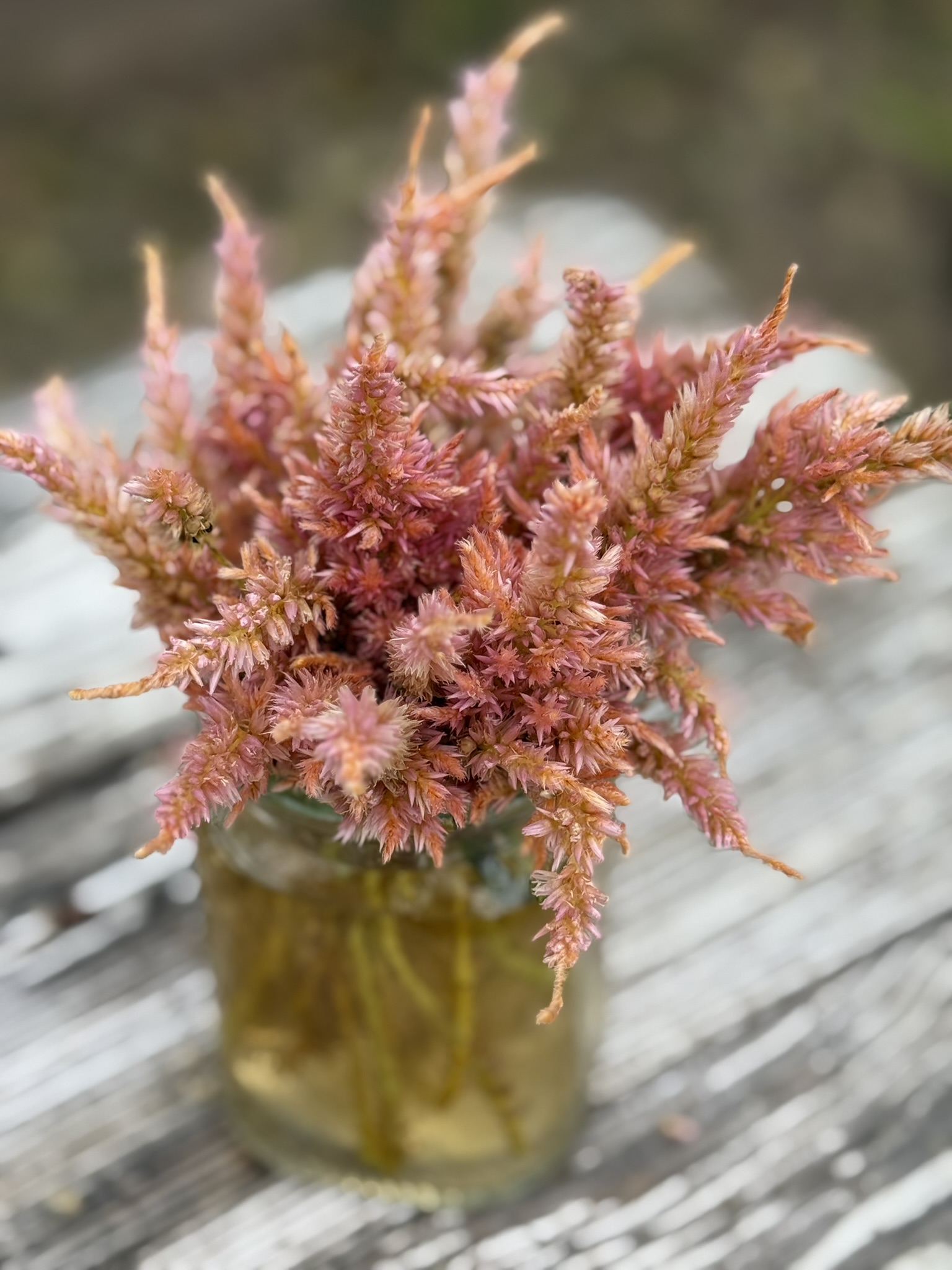 Jar Two — new gene study