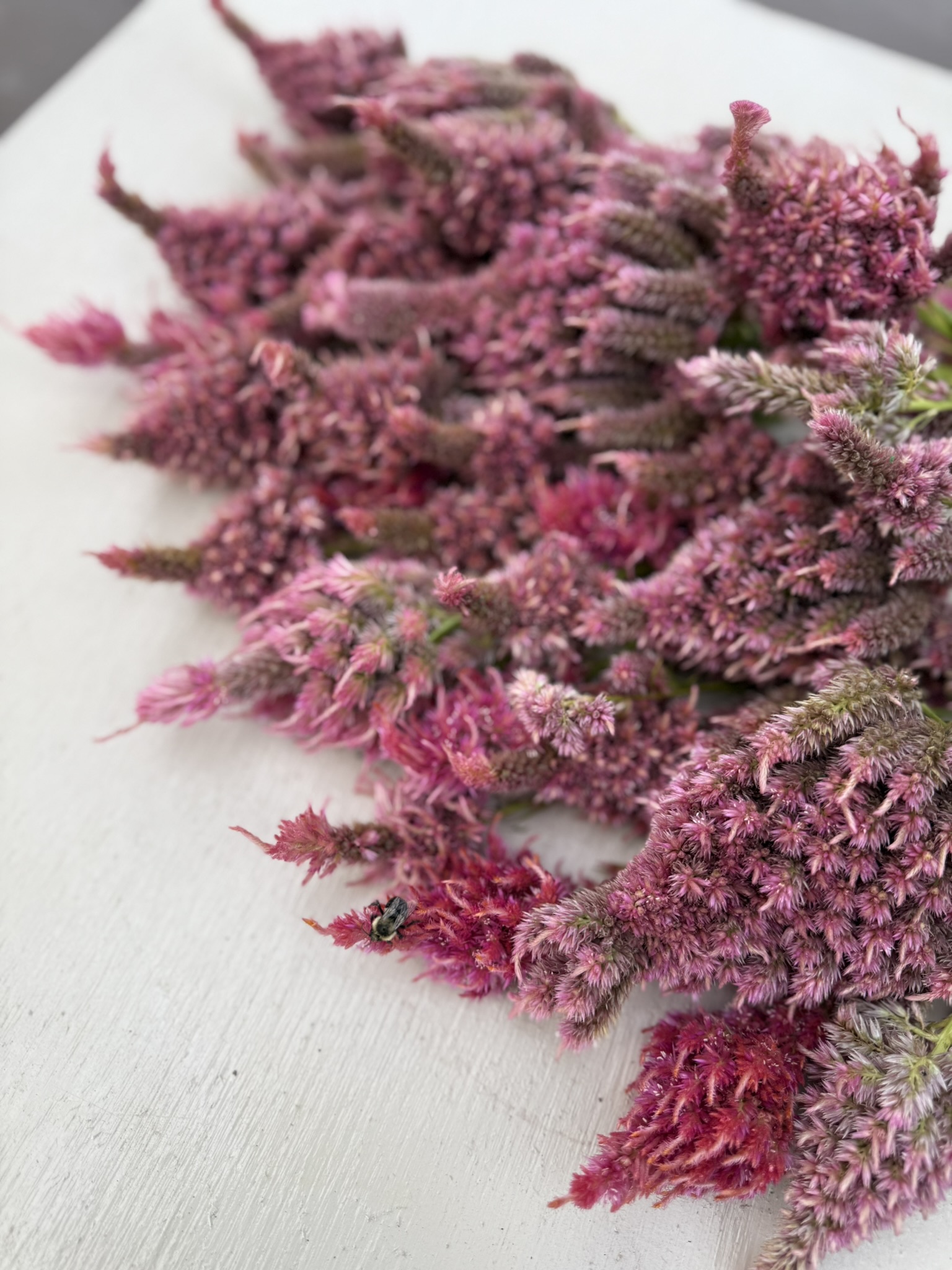 Pink Premium Battle Spikes Mix